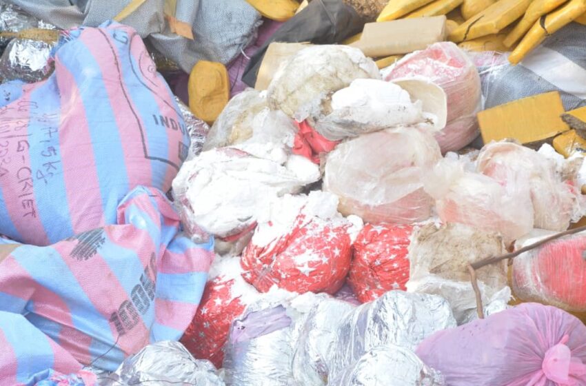  Lutte contre le trafic de la drogue au Bénin : 4,7 tonnes de stupéfiants incinérés