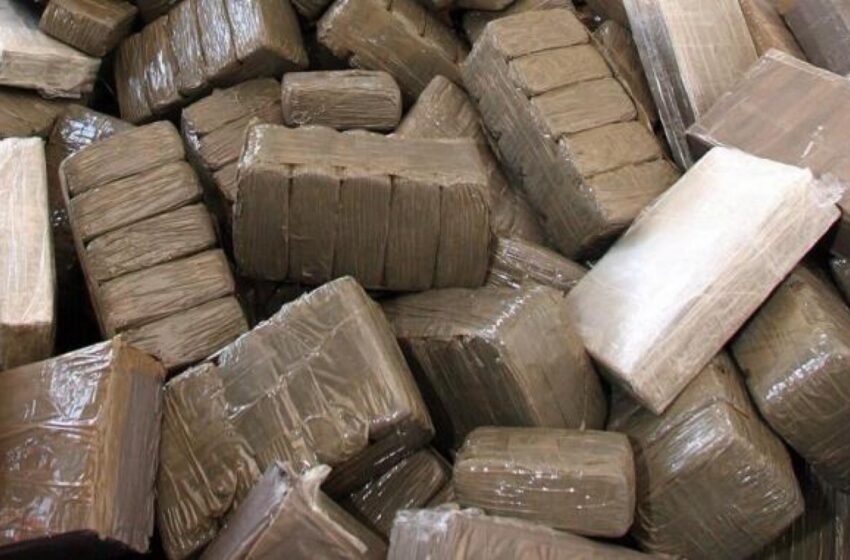  Affaire cocaïne : Les dessous du trafic de drogue au Bénin