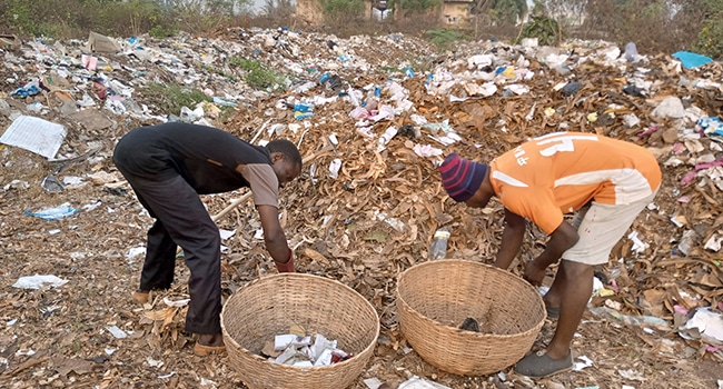  Entrepreneuriat vert : Des sachets recyclés en pavés