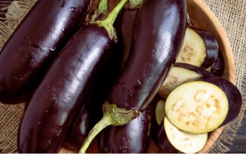  Consommer de l’aubergine : Pour prévenir et mieux contrer le diabète