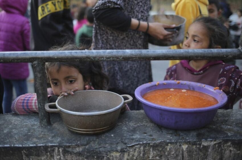  Gaza : Les enfants victimes de la malnutrition