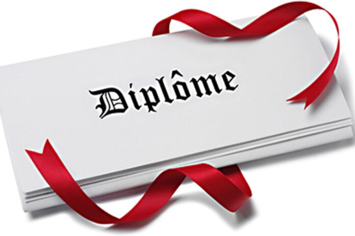  Case of fake diplomas between Nigeria, Benin and Togo: When the pig criticizes the sheep...